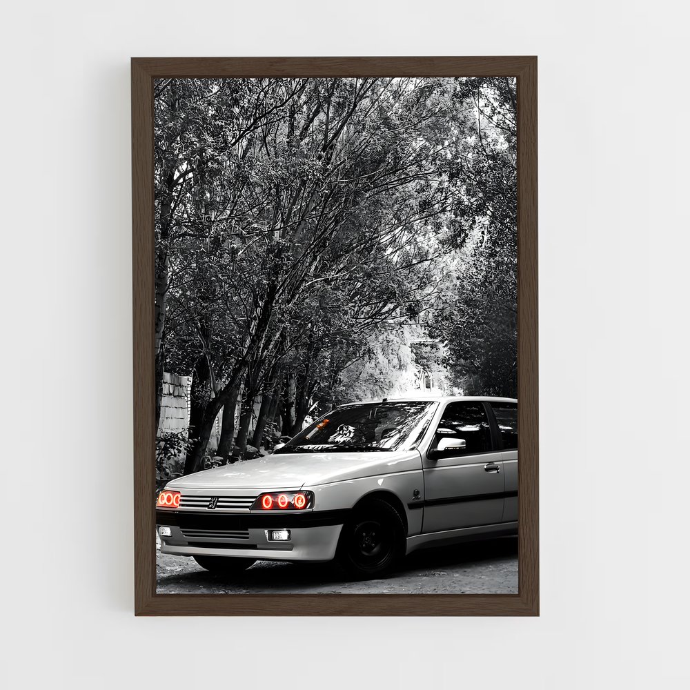 Poster mi fascinant – affiche Peugeot (vue 5)
